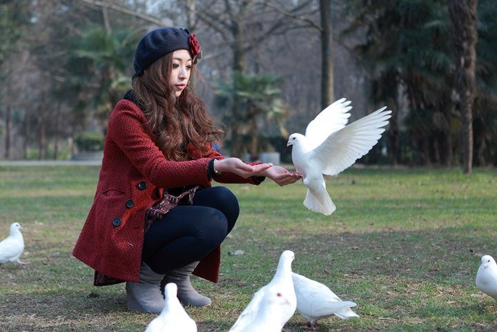 女孩放飞鸽子唯美图片图片