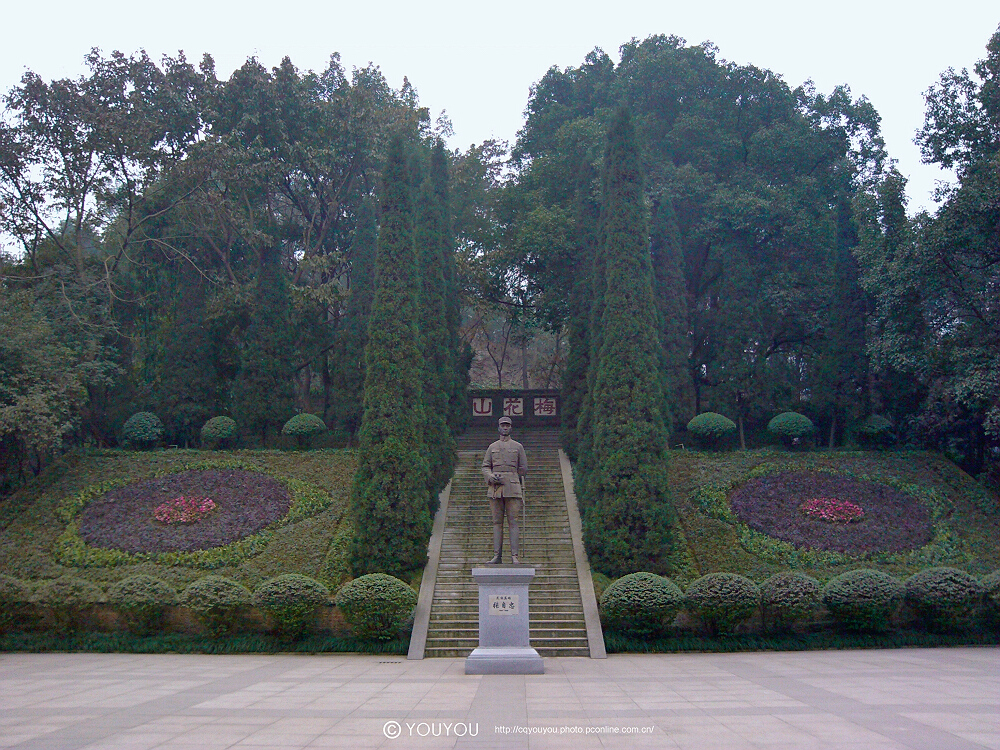 重庆梅花山图片