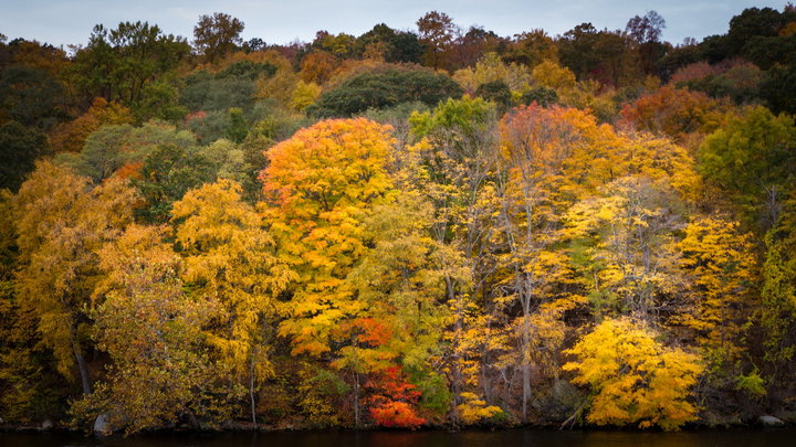 Connecticut River (3)