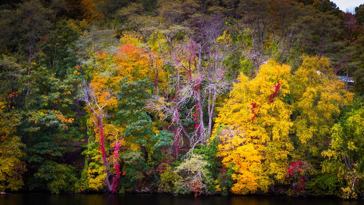 Connecticut River (3)