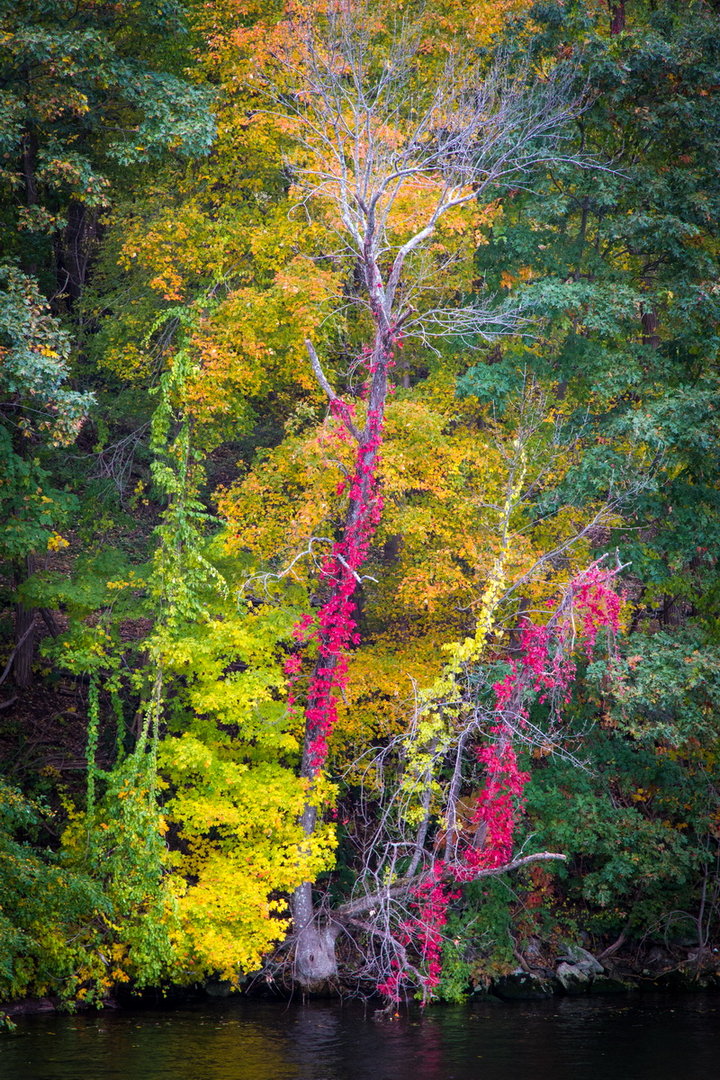 Connecticut River (4)