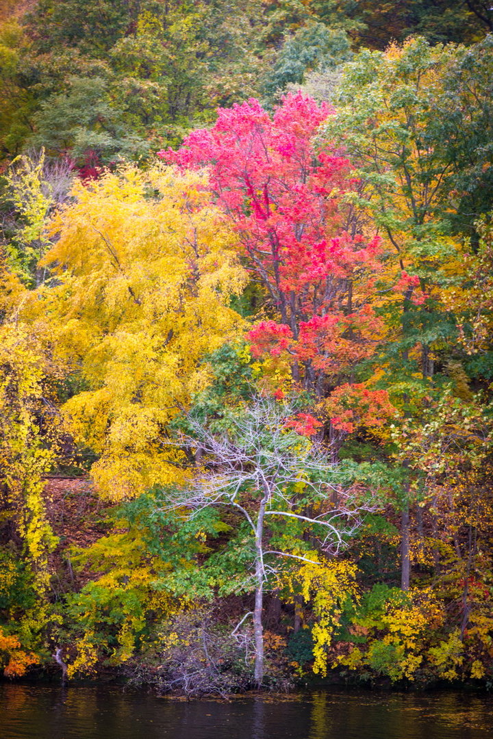 Connecticut River (4)