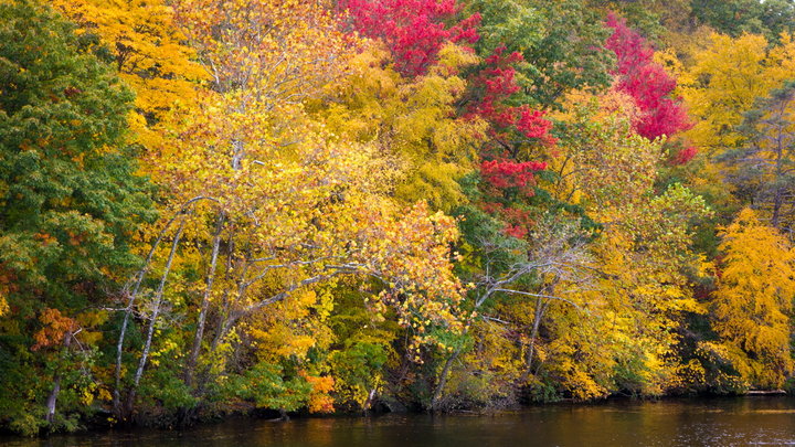 Connecticut River (4)