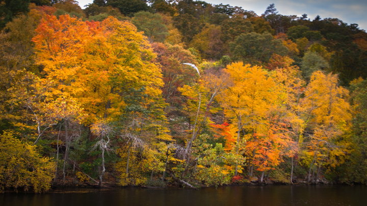 Connecticut River (4)