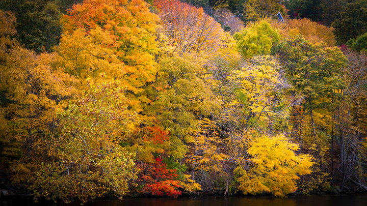 Connecticut River (4)