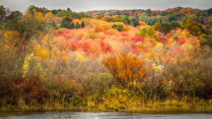 Connecticut River (4)