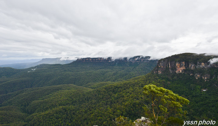 Blue Mountains