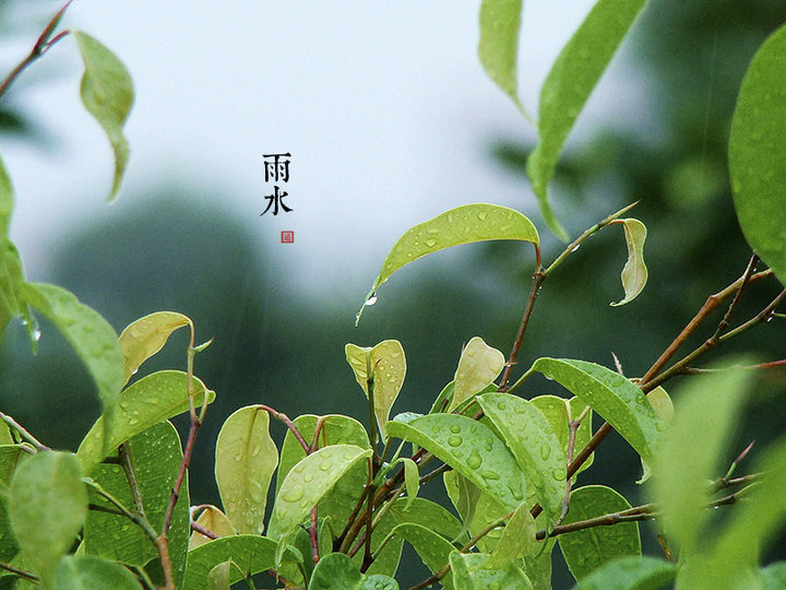 二十四節氣雨水