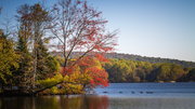 French creek state park (2)