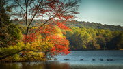 French creek state park (2)