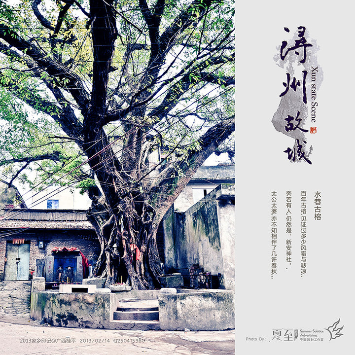 2013ӡǡ-- ݹʳ