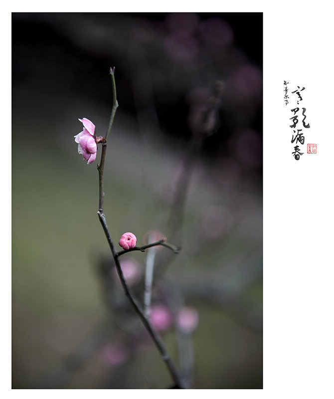 Ӱ©