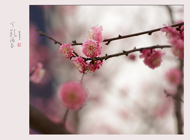 Ӱ©