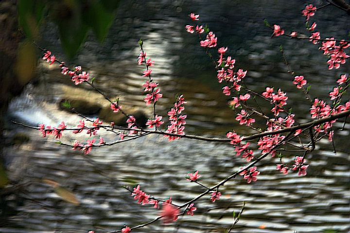 Ϫ֮