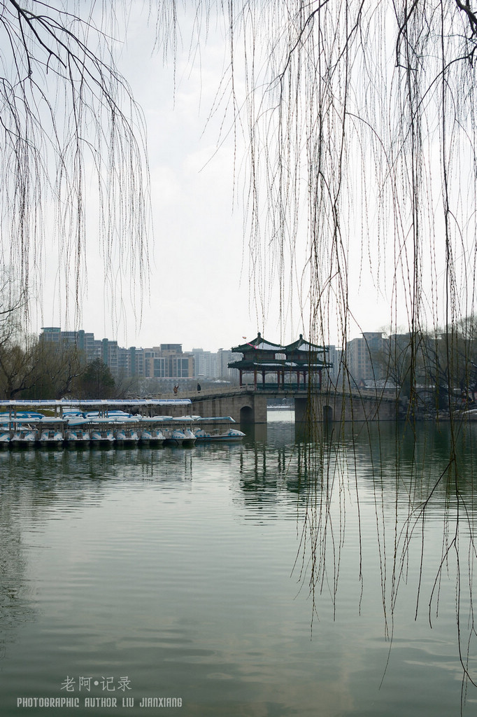 羰Ƭ̶С֮