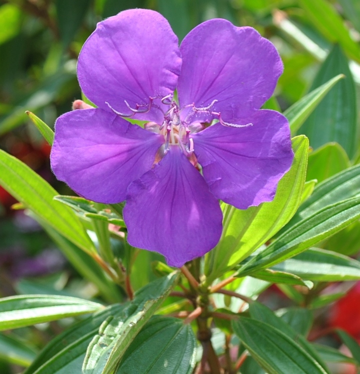 2013ۻչ(10)