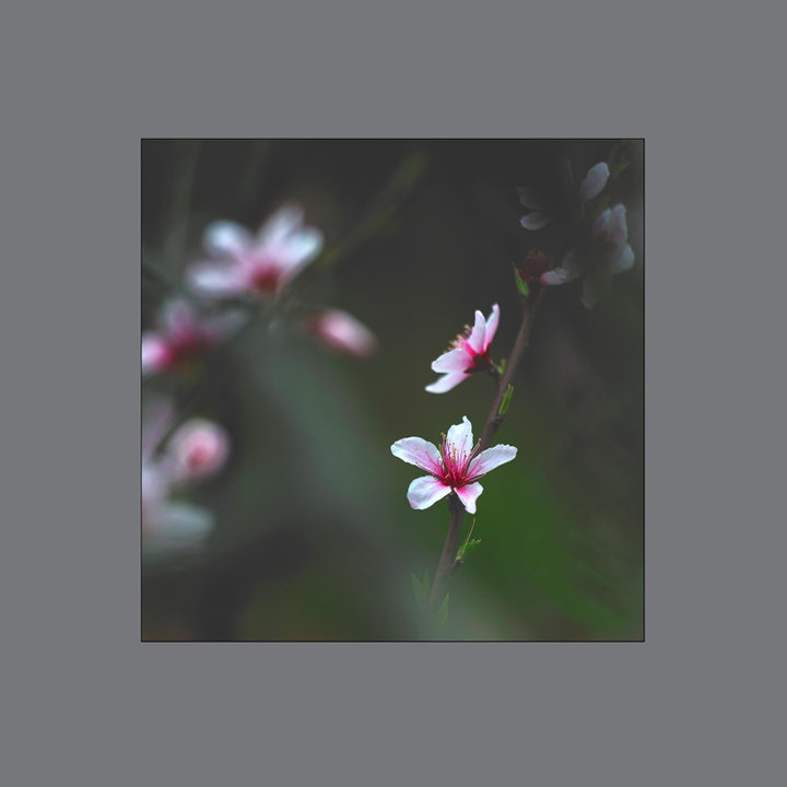 һ