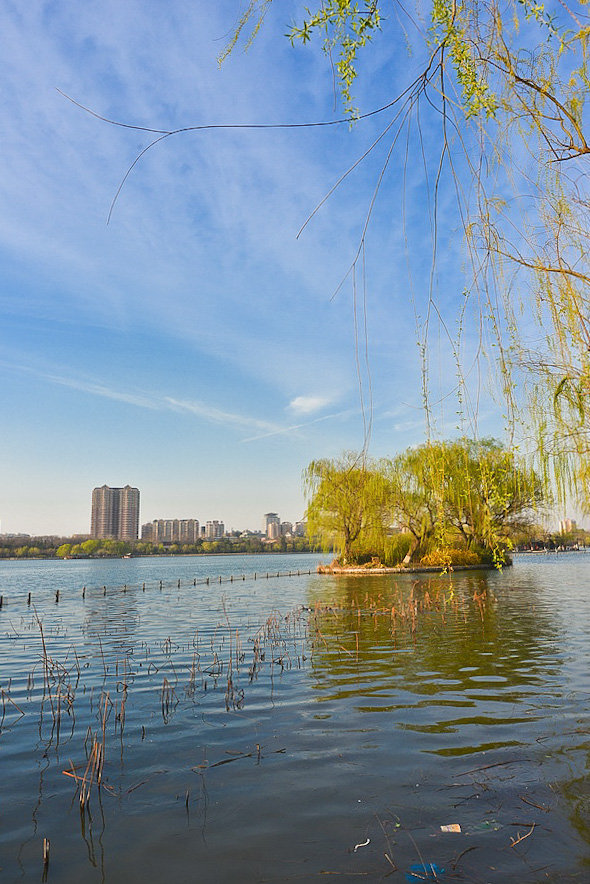 沈阳明湖春图片