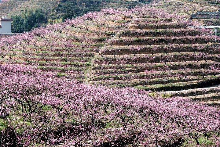 еĴ죭ף