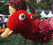 2013年香港花卉展览(花卉造型)