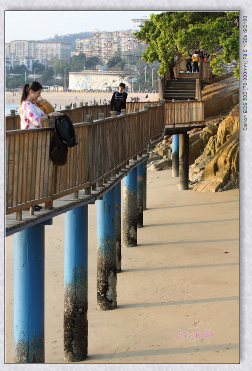 厦门环岛路木栈道图片