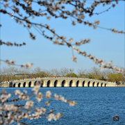 十七孔桥 2013.4.11
