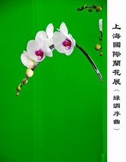 绿调序曲（上海国际兰展）