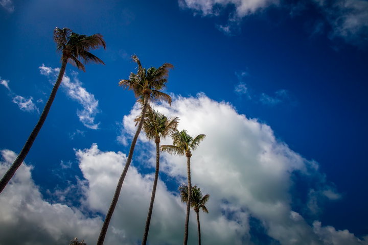 ͹ Great Stirrup Cay (1)