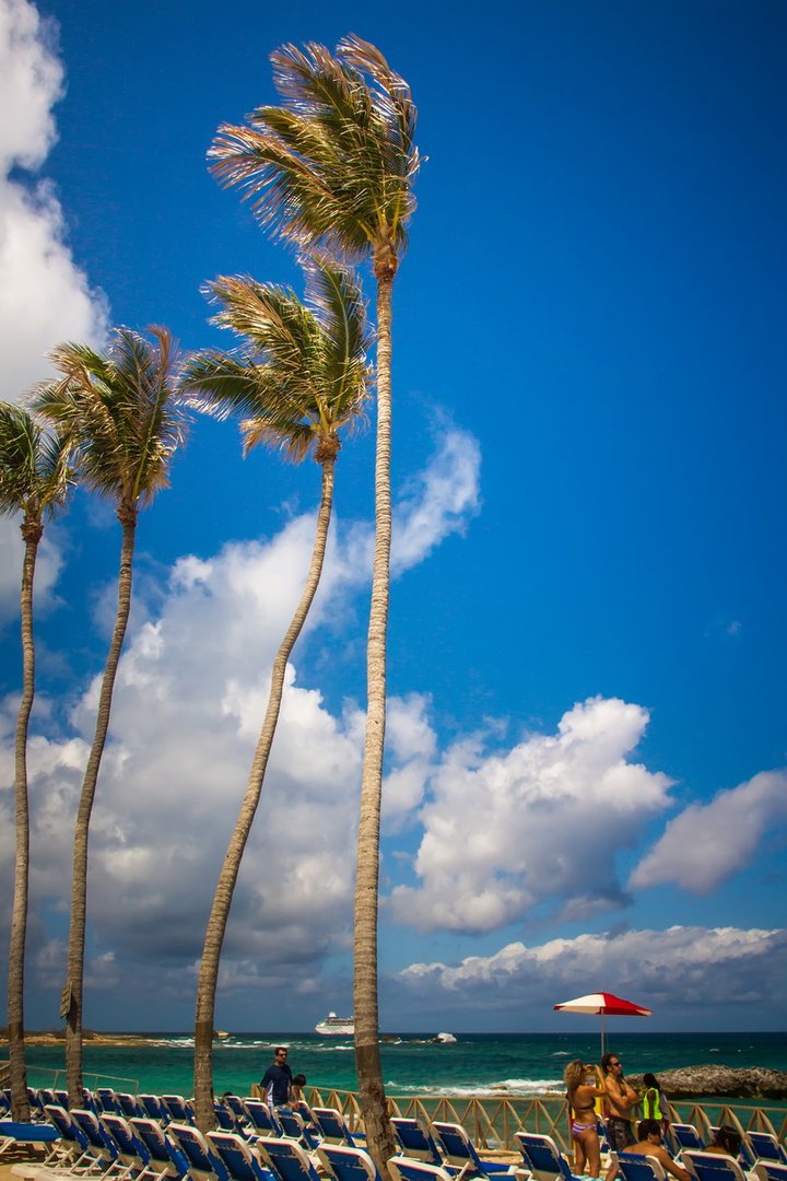 ͹ Great Stirrup Cay (1)