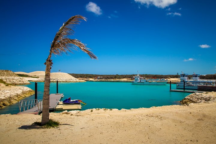 ͹ Great Stirrup Cay (1)