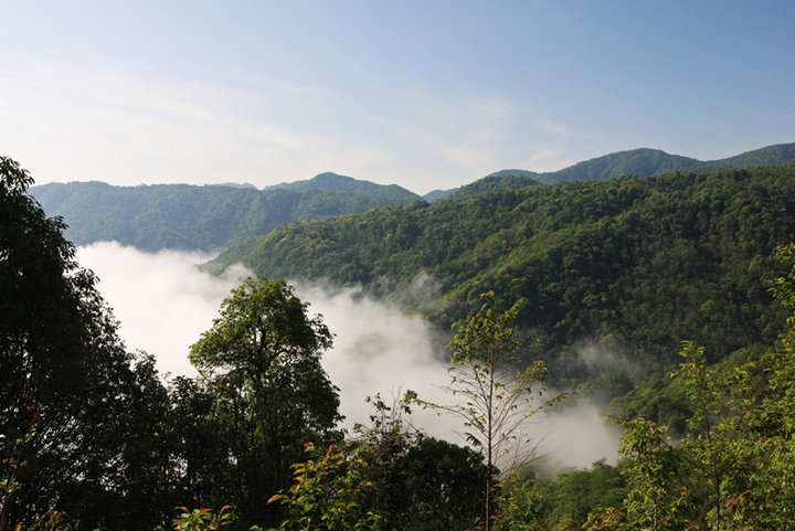 黄连山,一片美丽的净土