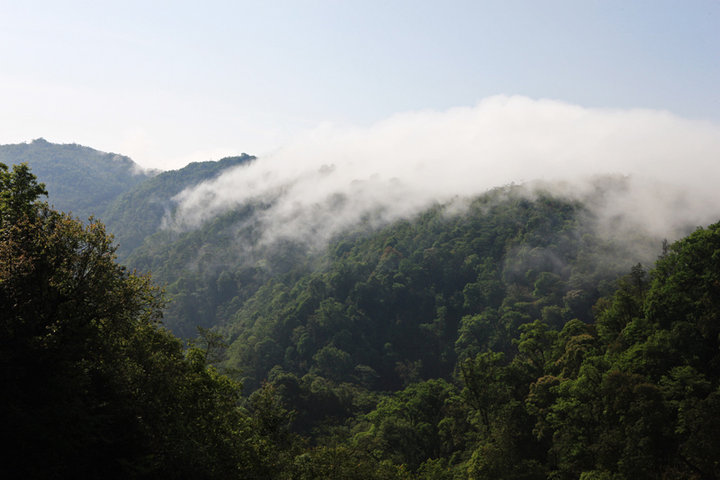 黄连山,一片美丽的净土