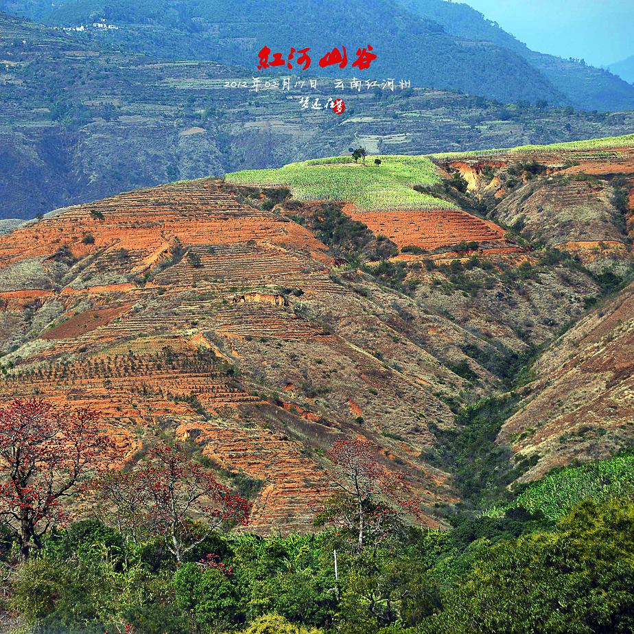 【紅河山谷攝影圖片】雲南紅河州元陽附近風光旅遊攝影_夢還在_太平洋