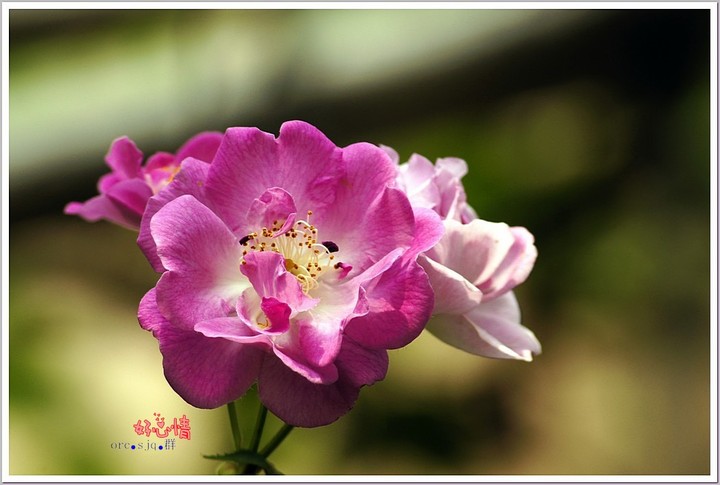 ҰǾޱ 2013.4.29 