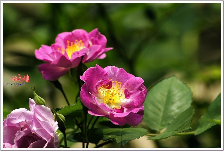 ҰǾޱ 2013.4.29 