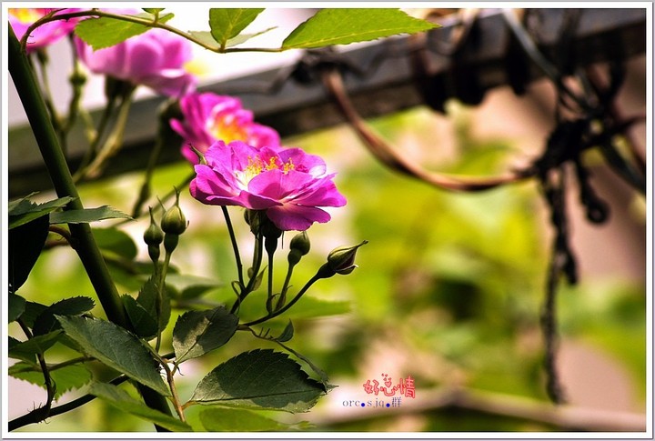 ҰǾޱ 2013.4.29 