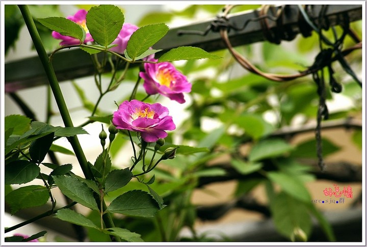 ҰǾޱ 2013.4.29 