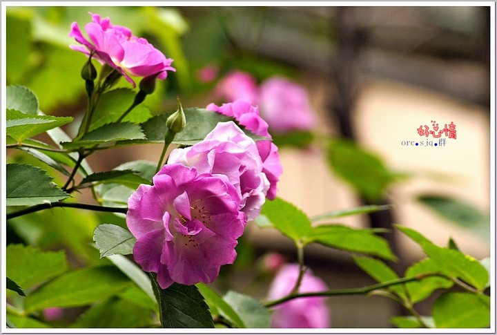 ҰǾޱ 2013.4.29 