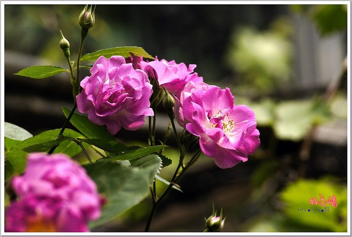 ҰǾޱ 2013.4.29 