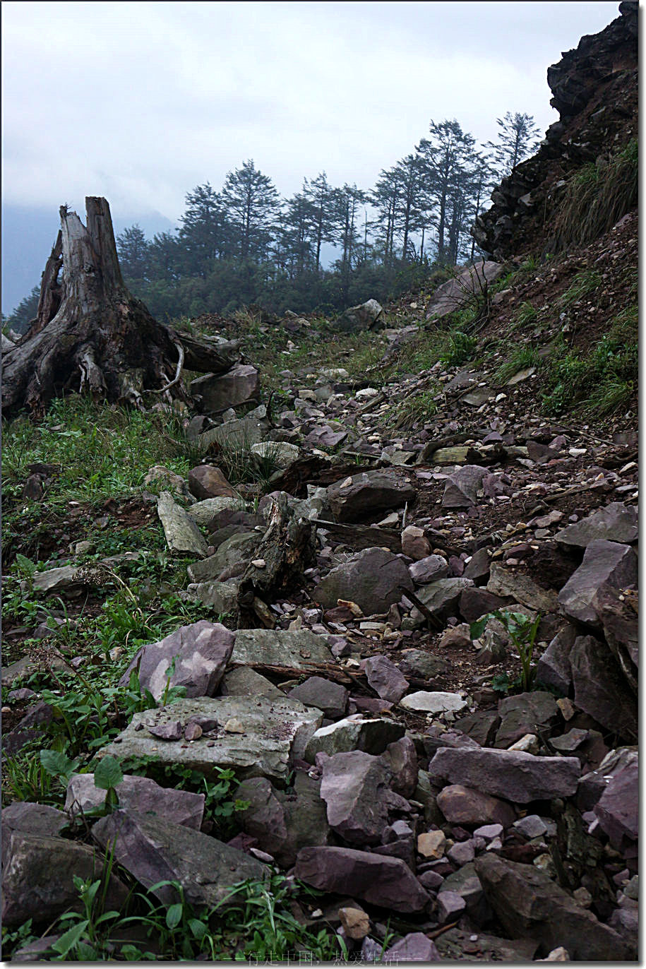 黑竹沟的废弃公路