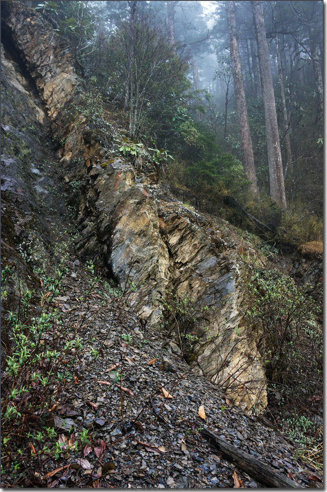 四川黑竹沟的未解之谜图片