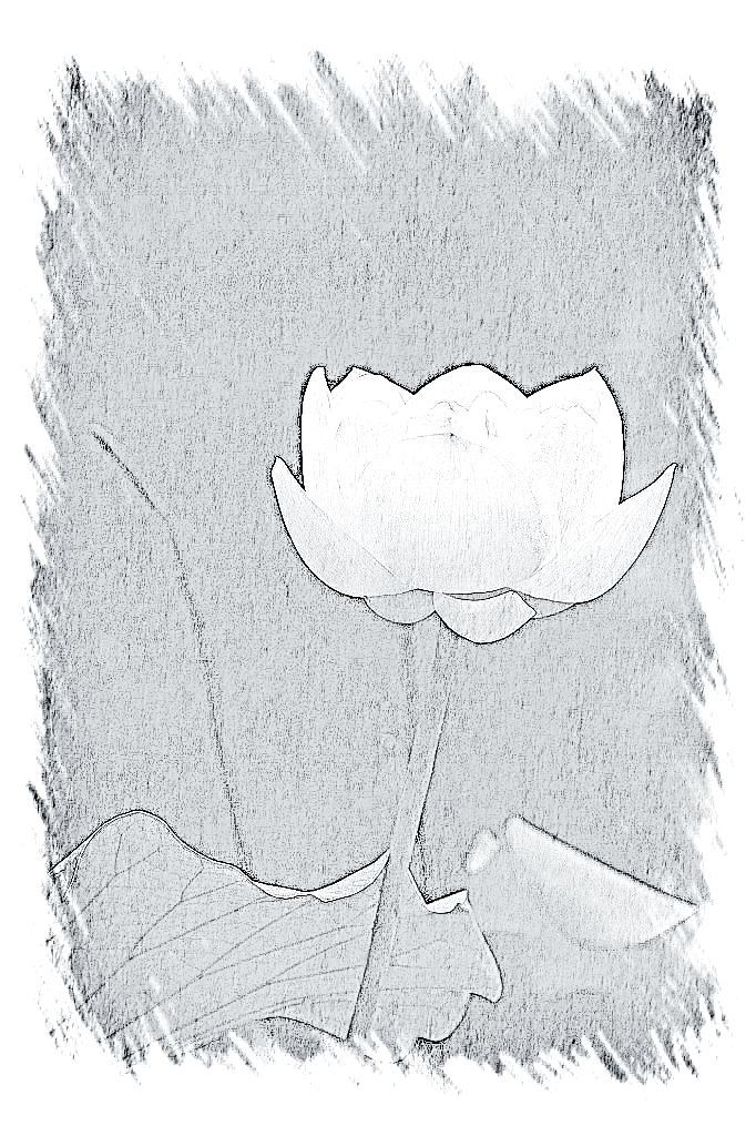 ϰʮ