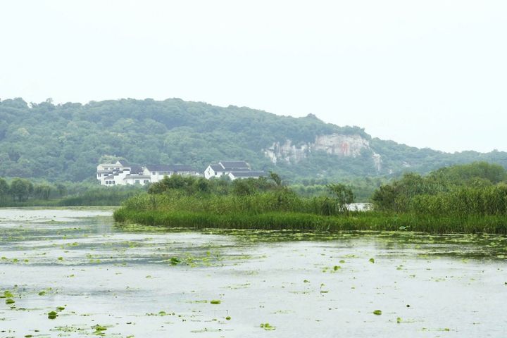 【太湖三山岛湿地公园摄影图片】苏州东山
