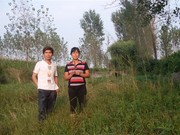 在2012年8月底我与家人回到河南西平县乡下老家