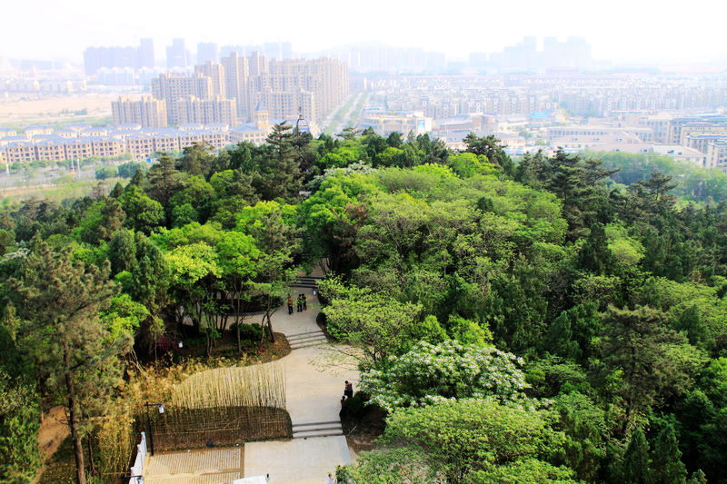 蚌埠市张公山公园！
