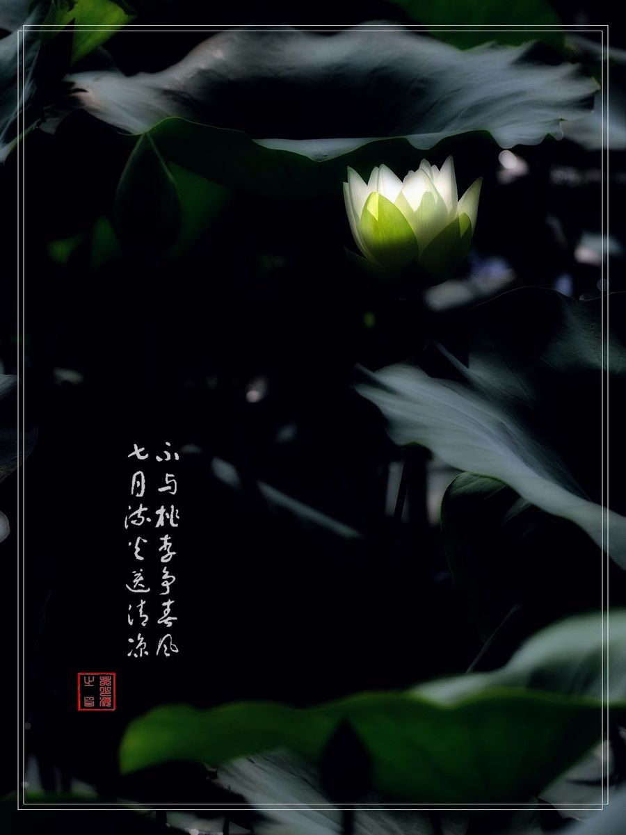 PS-ɫ