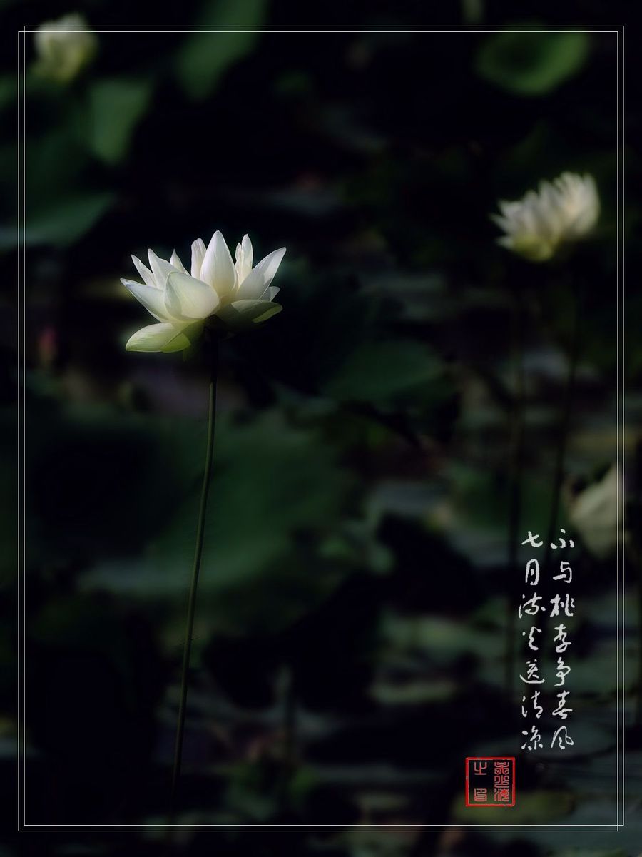 PS-ɫ