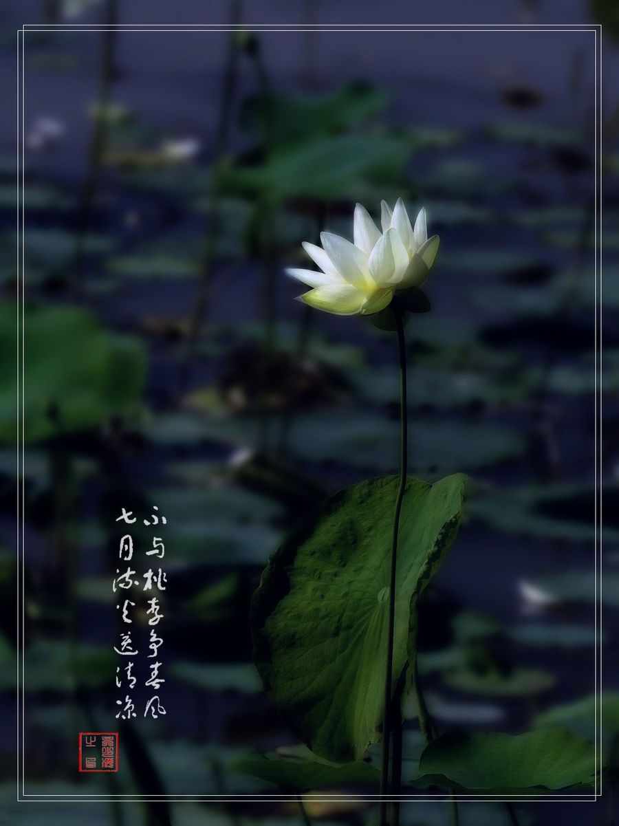 PS-ɫ
