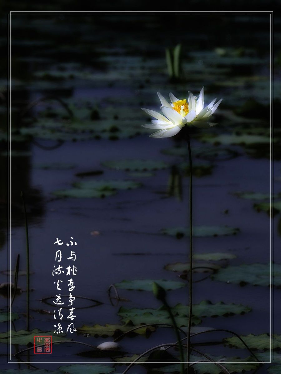 PS-ɫ