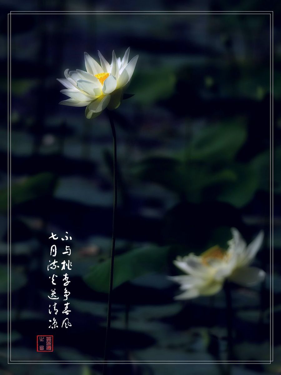 PS-ɫ